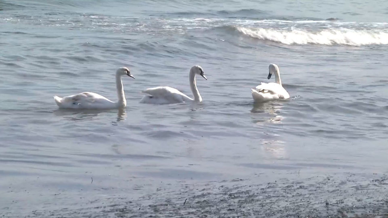 El Mar Negro, frontera entre Europa y Asia