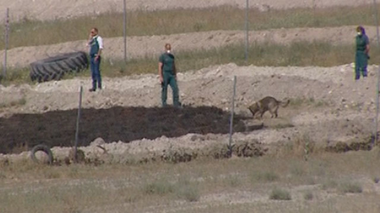 La Guardia Civil  investiga el foco del incendio de Seseña con perros especializados