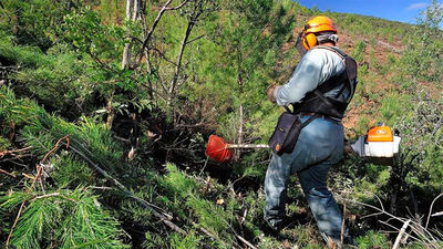 Veintisiete cuadrillas limpian los montes madrileños para evitar incendios