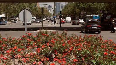 ¡Nos vamos al quinto pino!