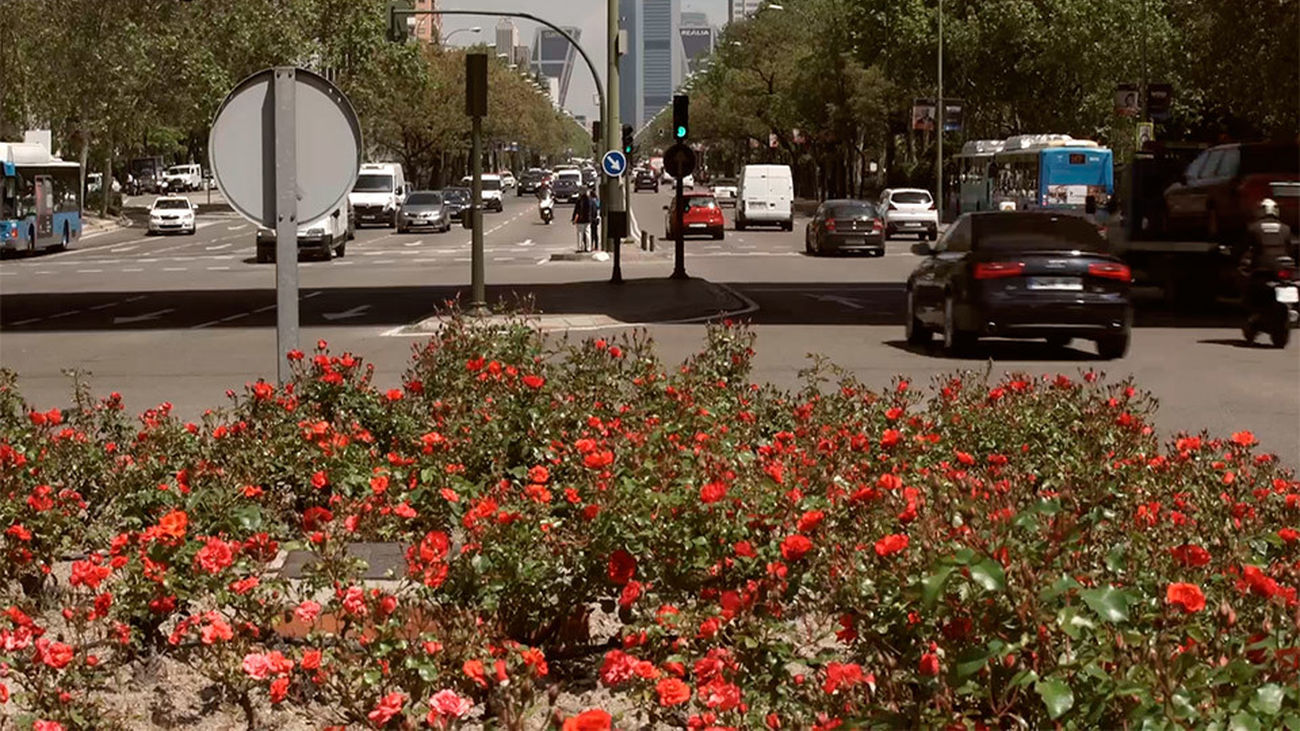 ¡Nos vamos al quinto pino!