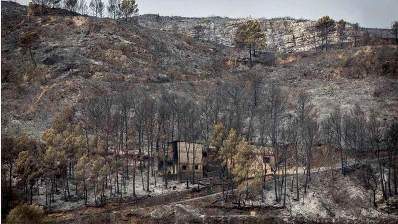 Los bomberos se centran en el incendio de Carcaixent, aún no controlado