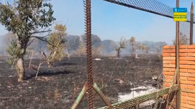 Extinguido el incendio de pasto y matorral entre Madrid y Alcorcón