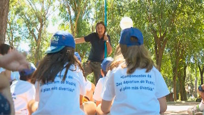 Los niños crean nidos para los gorriones en el Zoo de Madrid
