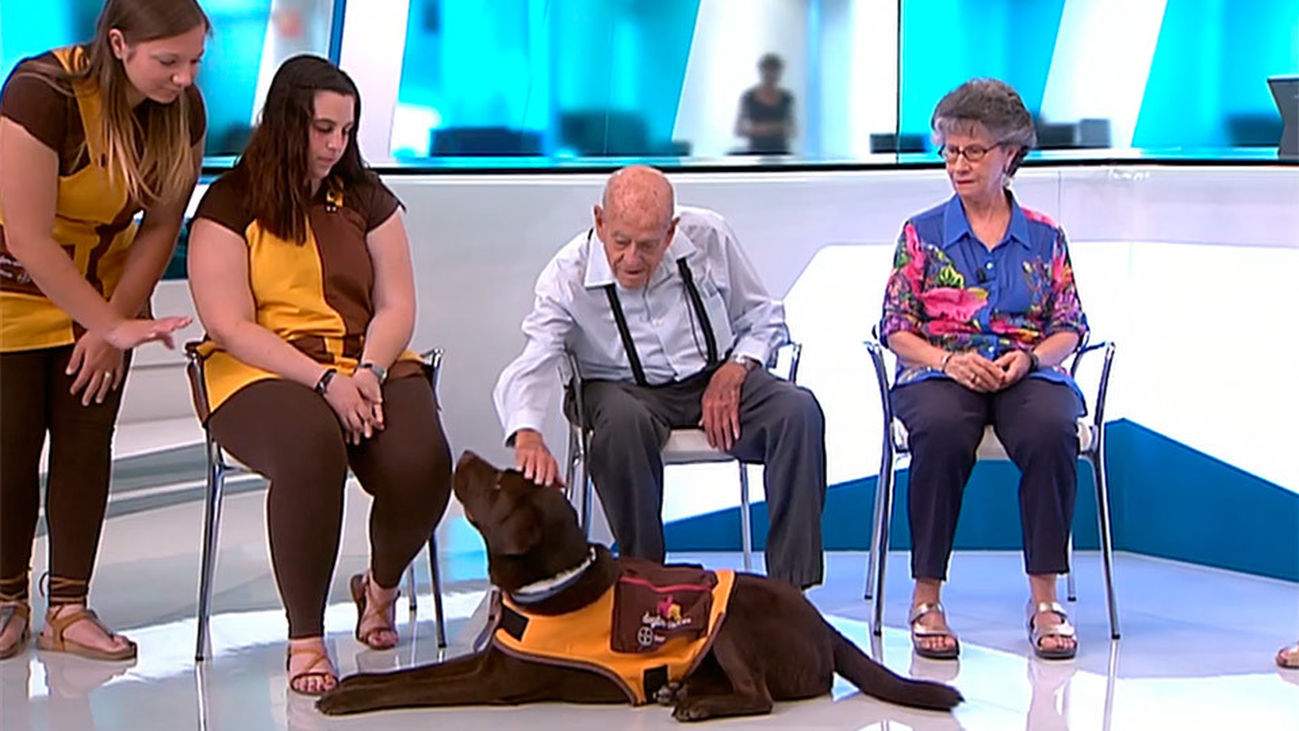 Los beneficios de la terapia con animales en nuestros mayores