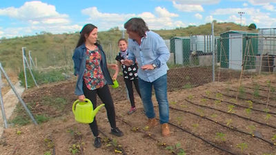 Villamantilla: Huertos urbanos