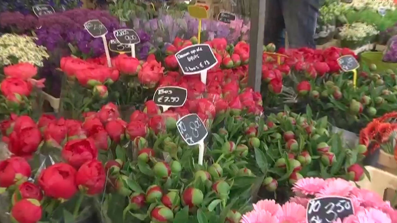 Utrecht, ciudad de mercadillos