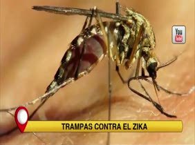 Aquí en Madrid 29.06.2016