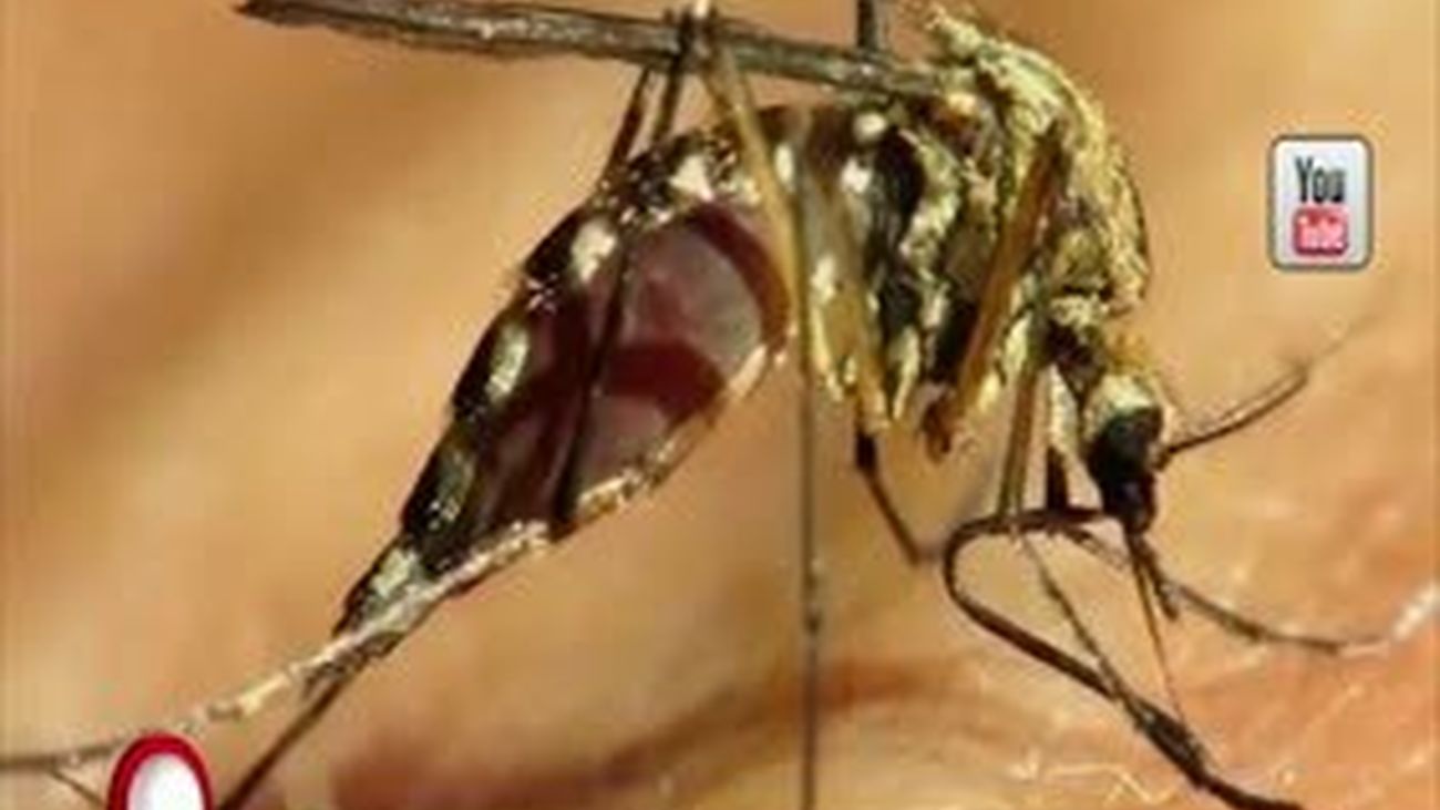 Aquí en Madrid 29.06.2016