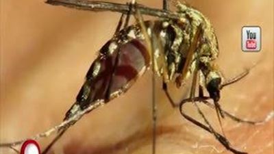 Aquí en Madrid 29.06.2016