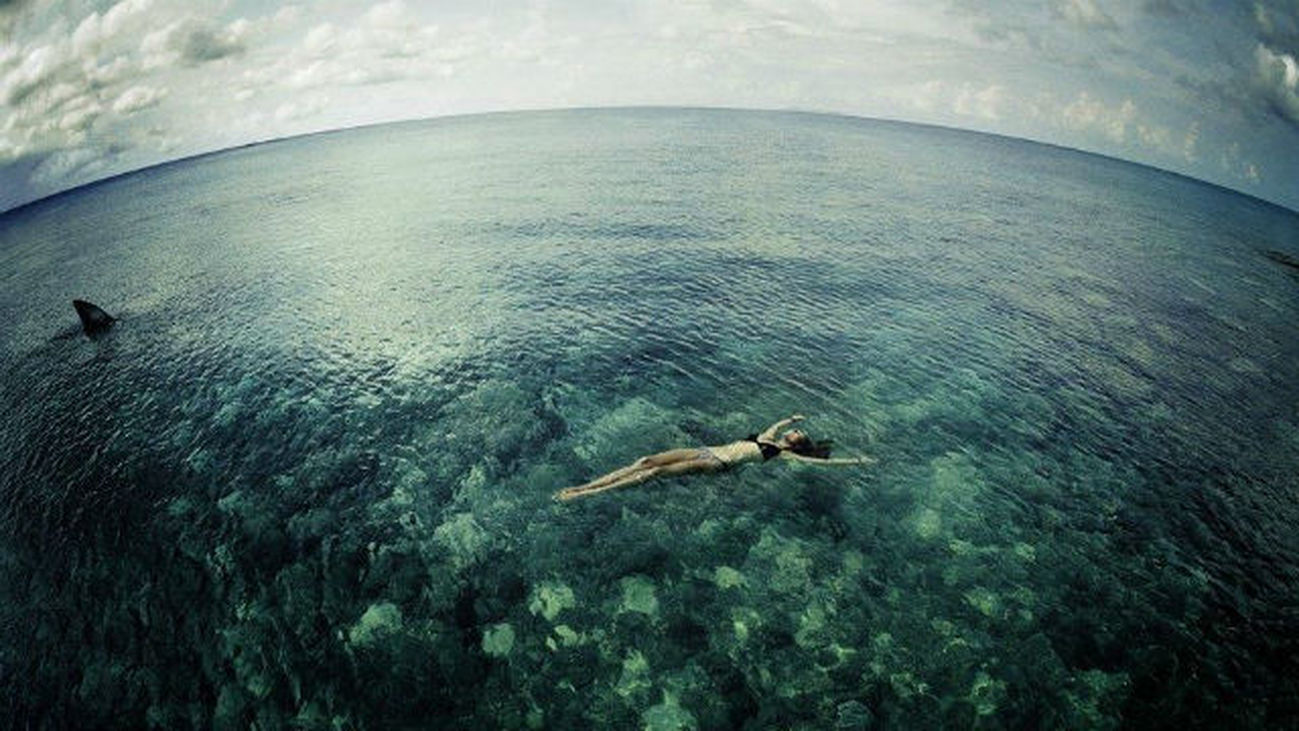 Una joven surfera sufre el ataque de un enorme tiburón blanco en 'Infierno Azul'