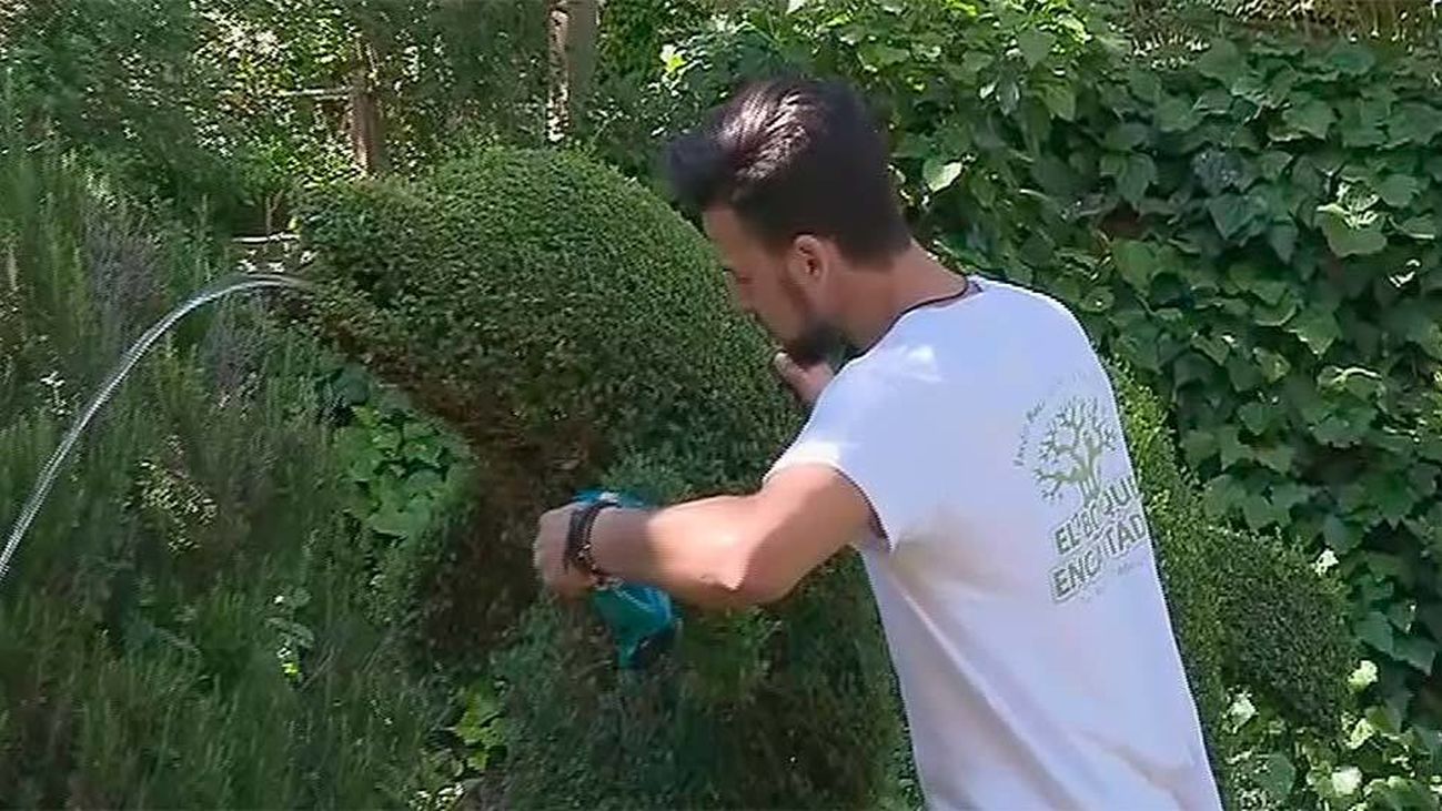 El Bosque Encantado, donde Eduardo Manostijeras se sentiría como en casa