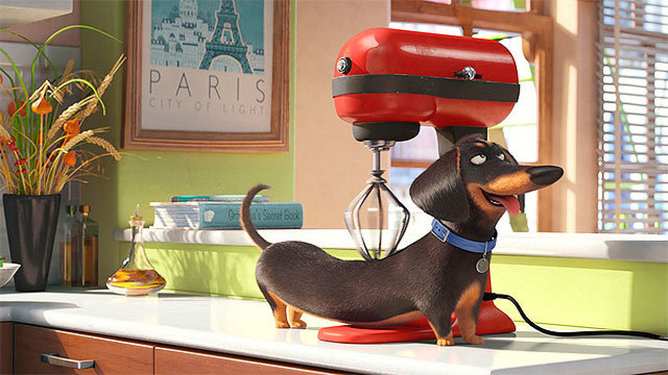 Llega 'Mascotas', de los creadores de 'Gru, mi villano favorito'