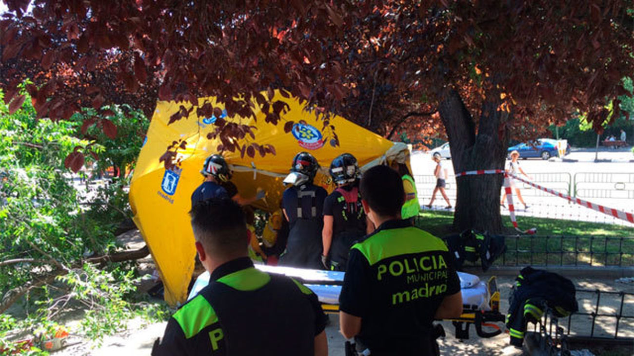 Fallece el hombre herido tras caerle encima la rama de un árbol en Madrid