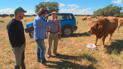 San Agustín de Guadalix: La belleza de la Dehesa del Moncalvillo