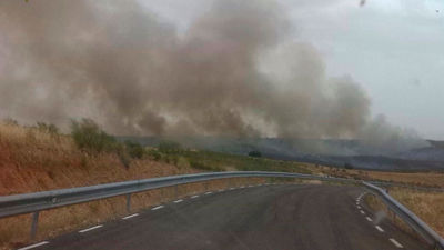 Estabilizado un incendio forestal declarado entre Guadalajara y Madrid