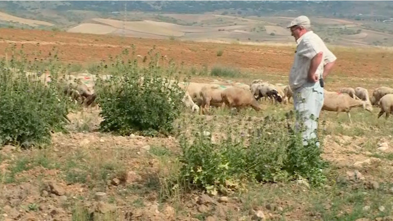 Talamanca del Jarama: Los oficios perdidos, que no olvidados