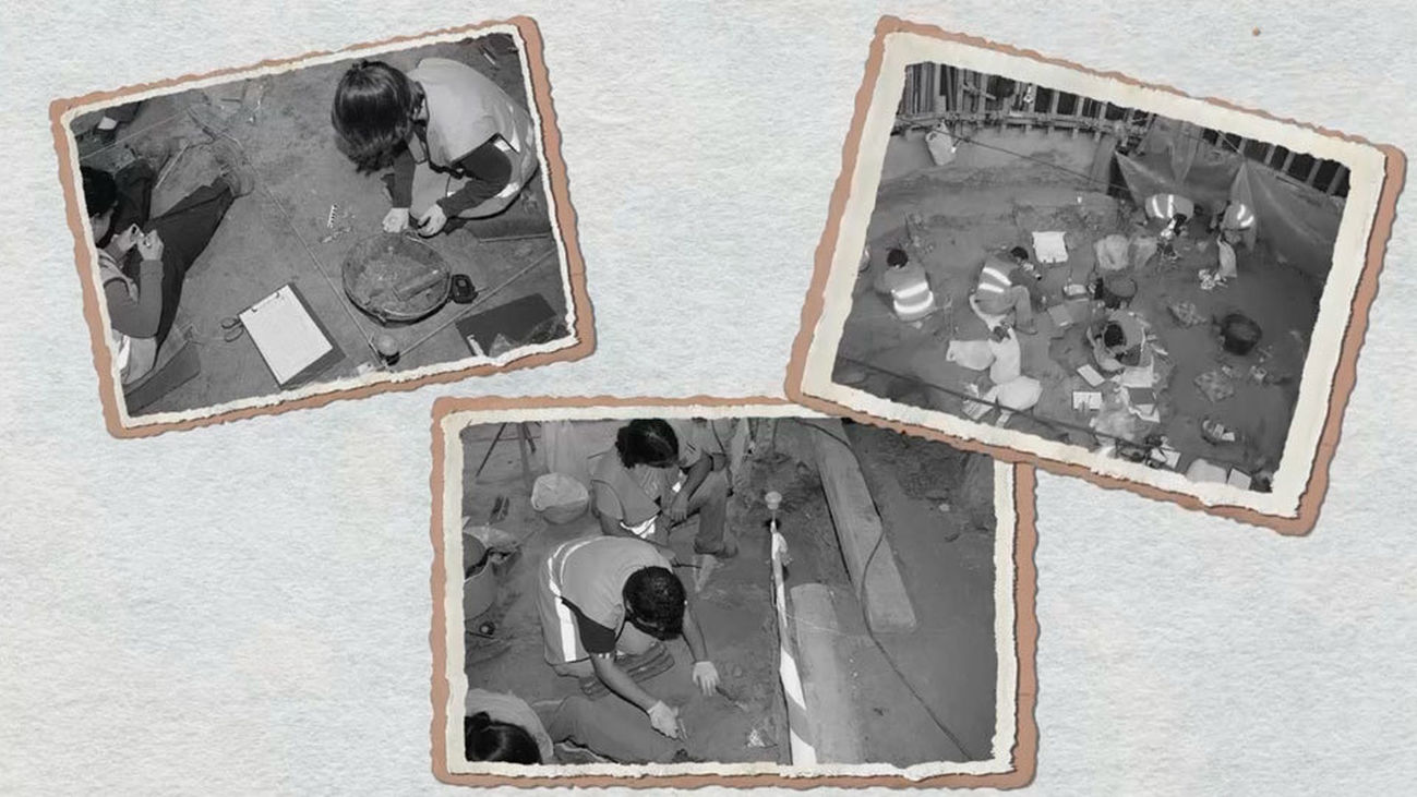 Carpetana: un museo de 14 millones de años