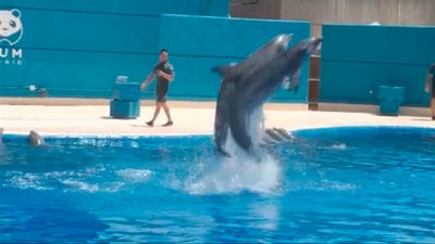 Madrid se mueve. Programa 39