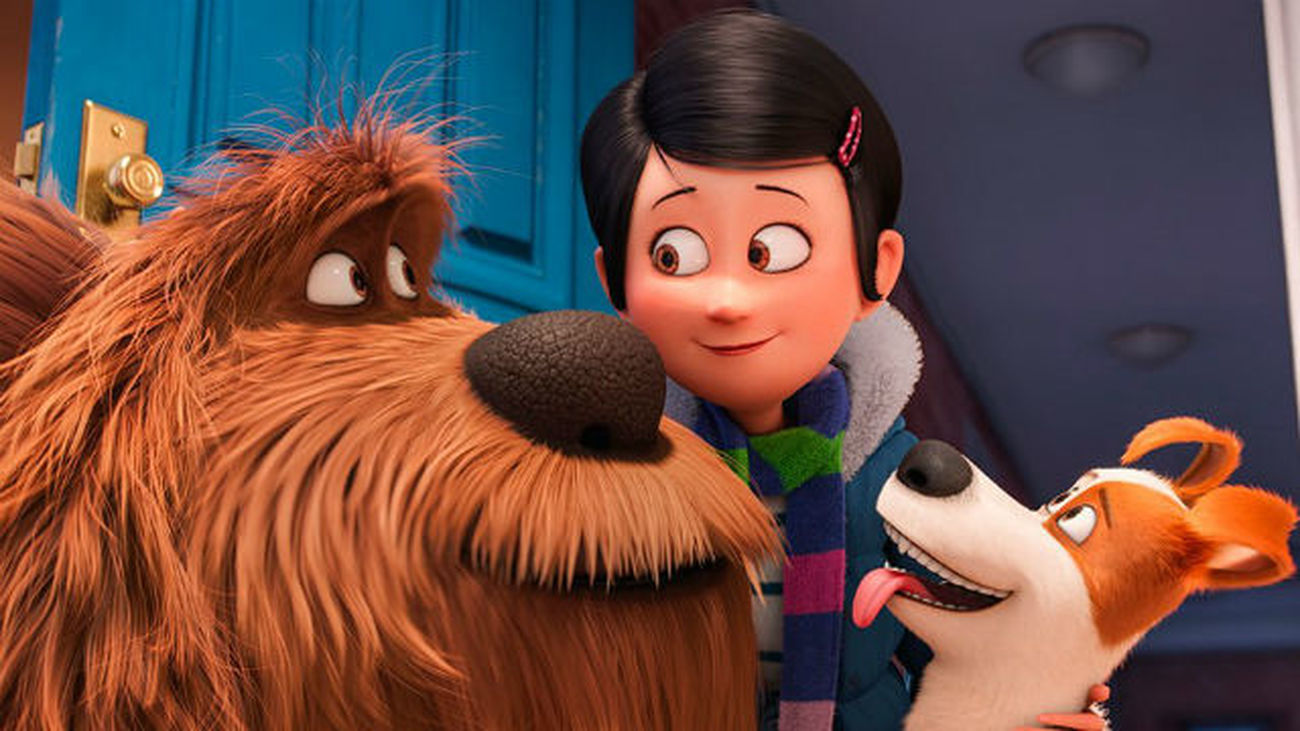 Película 'Mascotas'