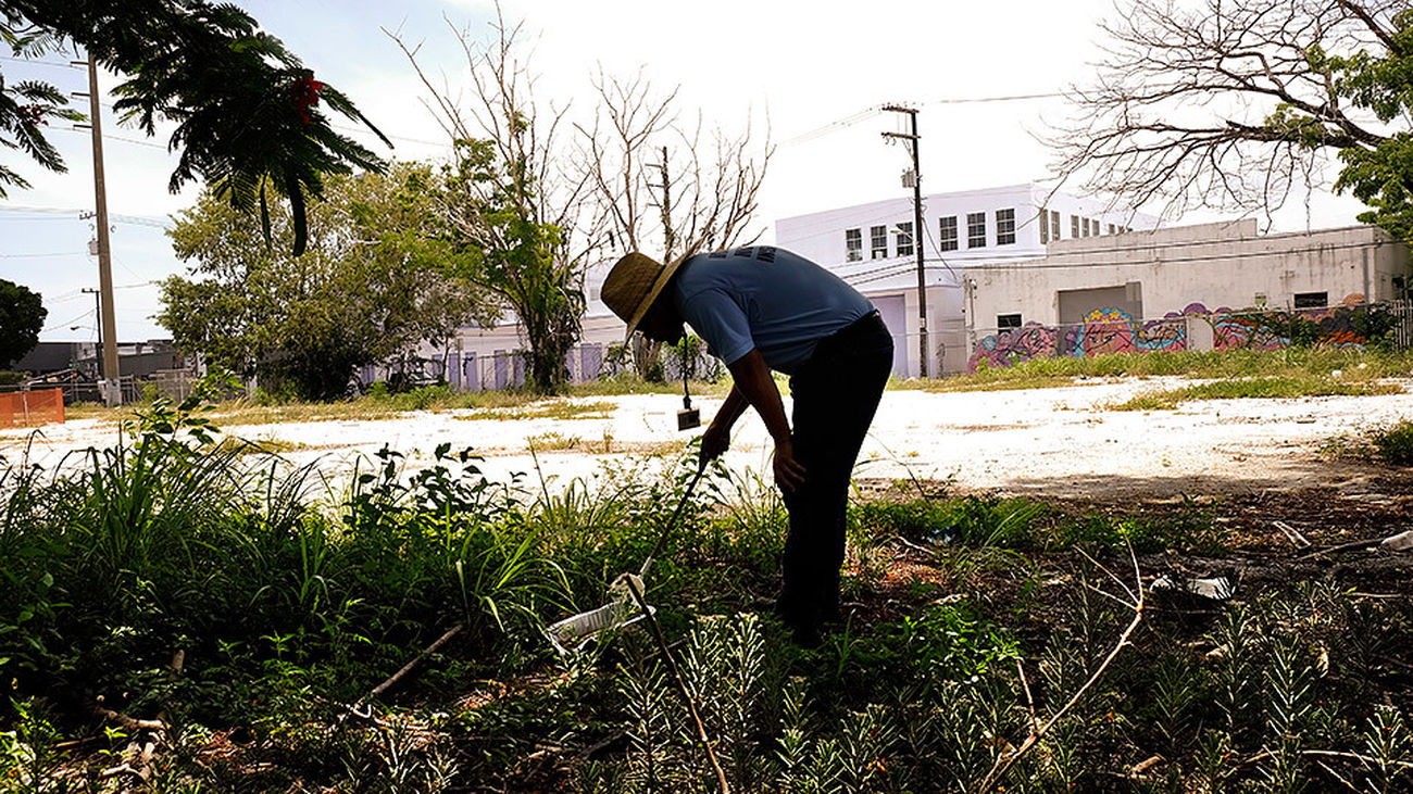Un inspector realiza labores de control para evitar la proliferación del mosquito que transmite el virus del Zika en el barrio