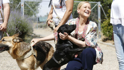 Los madrileños ya adoptan más mascotas de las que se abandonan