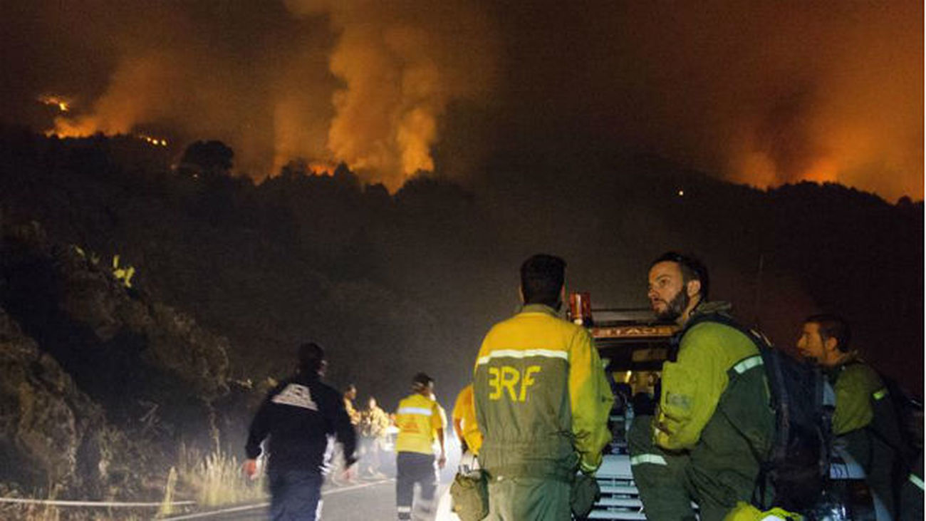 El incendio forestal de La Palma afecta ya a casi 2.000 hectáreas