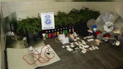 Tres detenidos por tener una plantación de marihuana en un piso de Moratalaz