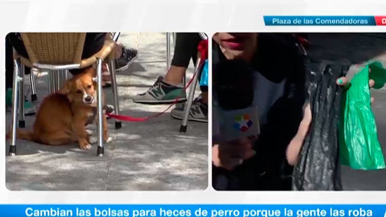 Madrid cambia las bolsas de excrementos para que no se usen para alimentos