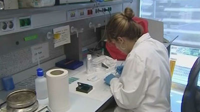 Descubren un receptor neuronal culpable de la amnesia provocada por el estrés