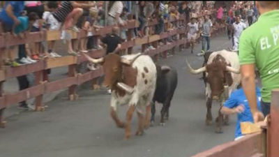 Unas 2.600 personas presencian el segundo encierro de Leganés, con 3 heridos