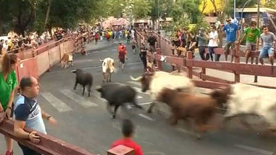 Autorizados 345 festejos taurinos en la Comunidad de Madrid, un 14 % menos