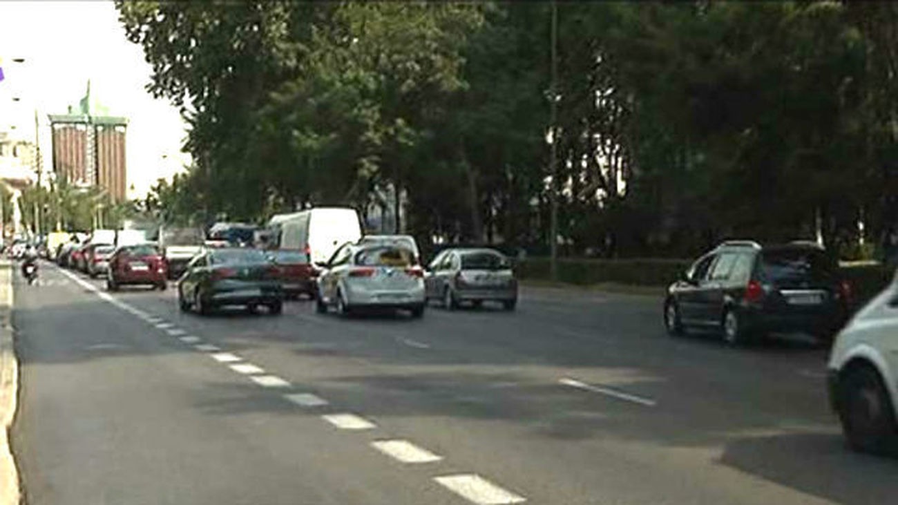 Hábitat Madrid anima a descubrir la naturaleza urbana en el paseo del Prado