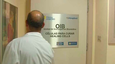 Un paso más hacia la posibilidad de crear riñones trasplantables