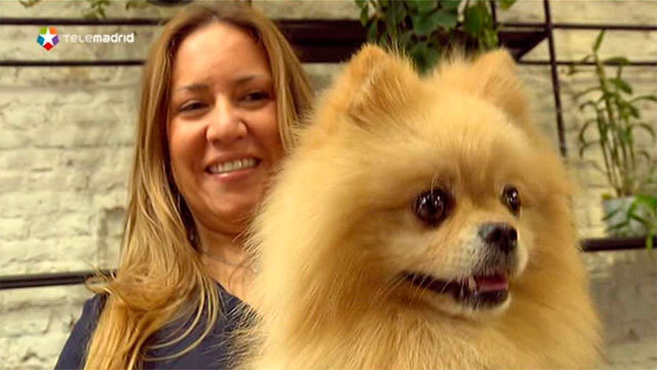 Shakn, ligar con mascota