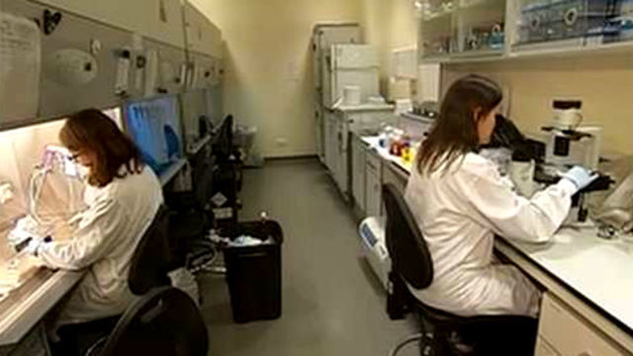 Sanidad vigila a 200 personas tras confirmar dos casos de fiebre hemorrágica en Madrid