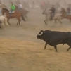 Tordesillas recuperará el Toro de la Vega sin muerte
