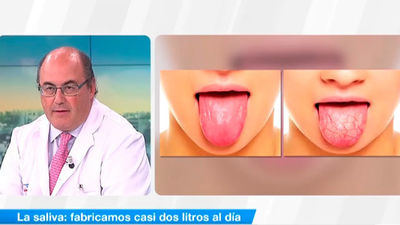 La importancia de la saliva