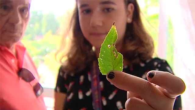 Telenoticias 1 13.09.2016