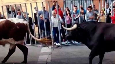 Fuenlabrada no tendrá encierros este año en sus fiestas de septiembre