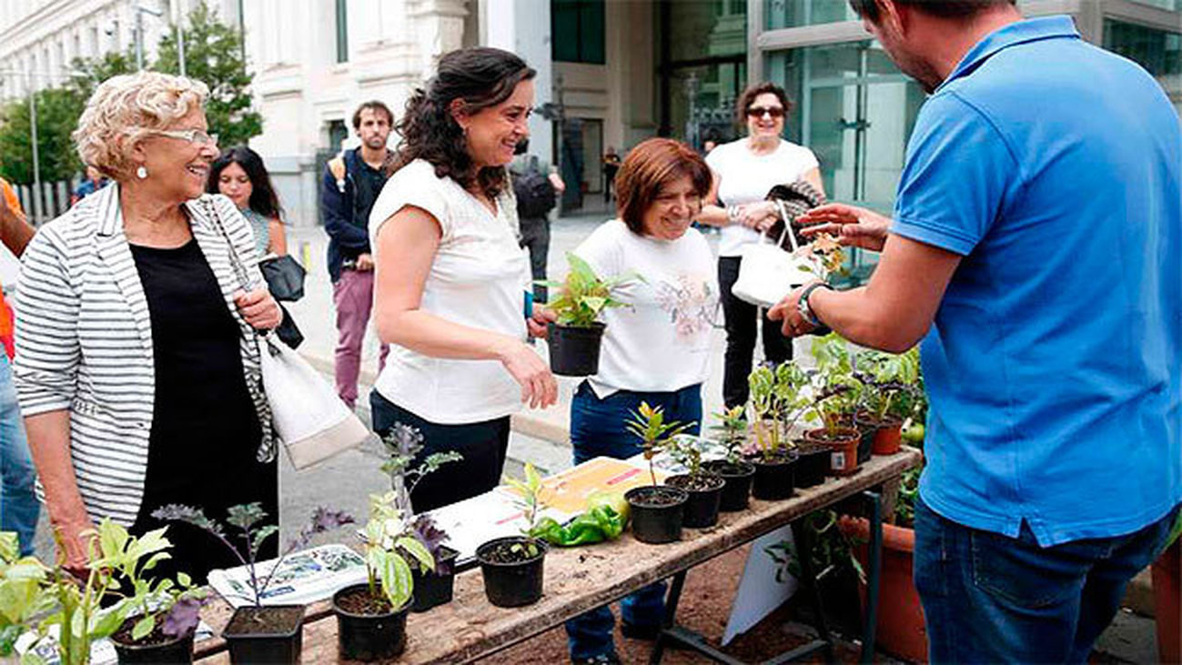 Carmena transformará parte de Cibeles en cubiertas vegetales