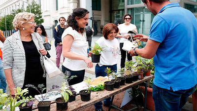 Carmena transformará parte de Cibeles en cubiertas vegetales