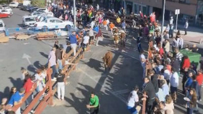 Majadahonda disfruta de sus Fiestas Patronales