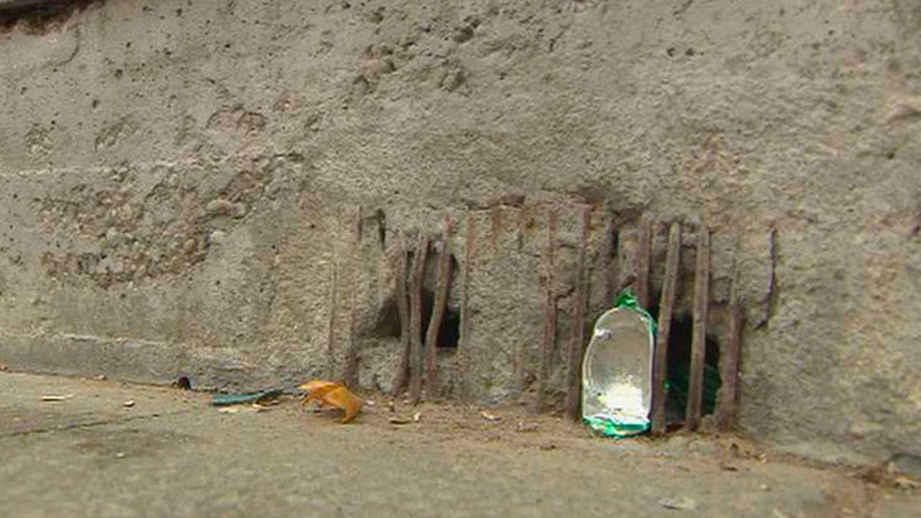 Plaga de ratas y chinches en Alcalá de Henares