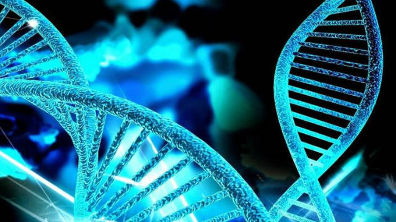 Elaboran el primer mapa global de la diversidad genética en el planeta