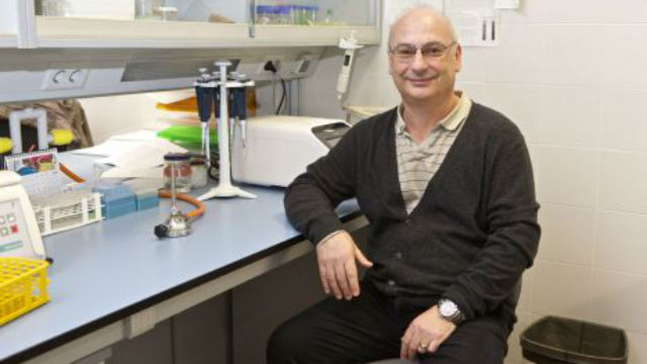 Un español, en las quinielas para el Nobel de Medicina