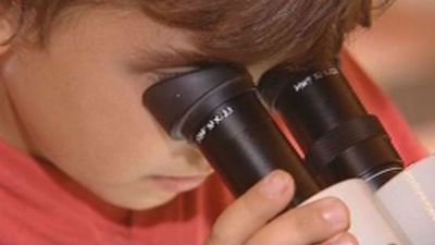 Más de 10.000 asistentes en la VII Noche Europea de los Investigadores