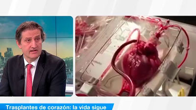 Trasplantes de corazón: la vida sigue