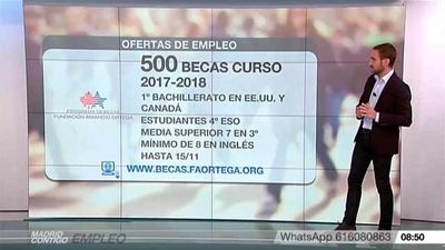 Ofertas de empleo y formación