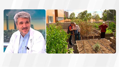 Huertos terapeuticos, una experiencia pionera en España